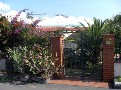 Malva Villa Giulia (L4)